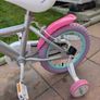 Unicorn Bike Image 5