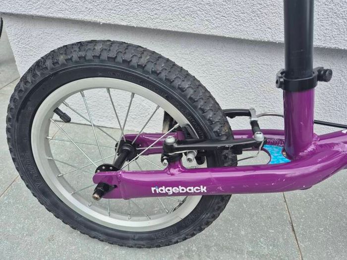 Ridgeback Scoot XL