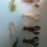 fishing Image 2