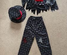 Halloween Costume