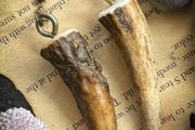 Made to Order Simple but Powerful Deer Antler Tine Earrings Witch Shaman