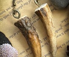 Made to Order Simple but Powerful Deer Antler Tine Earrings Witch Shaman