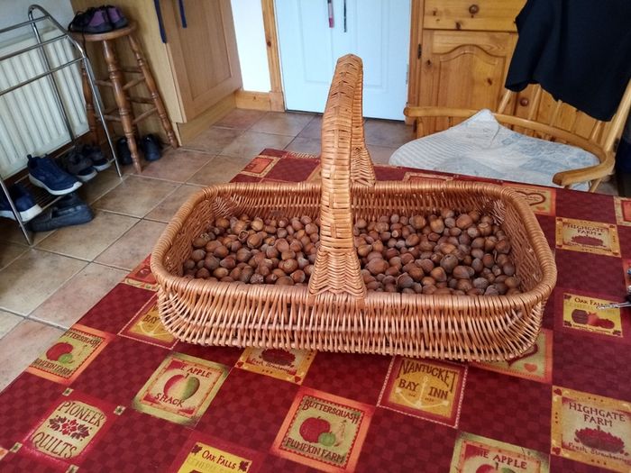 Hand made wicker basket