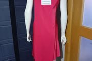 Ladies dress