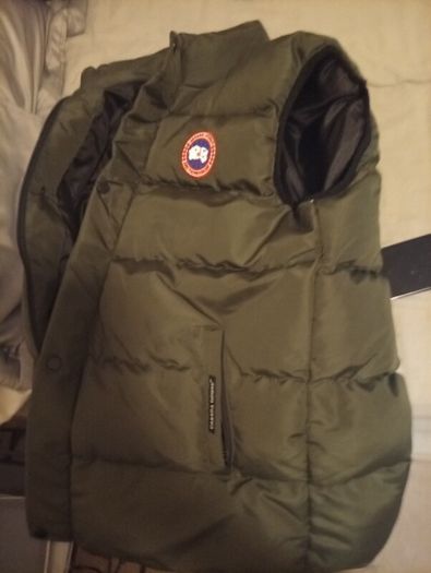 canada goose