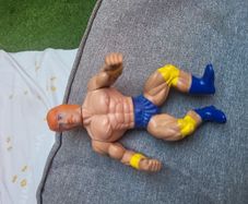 wrestling