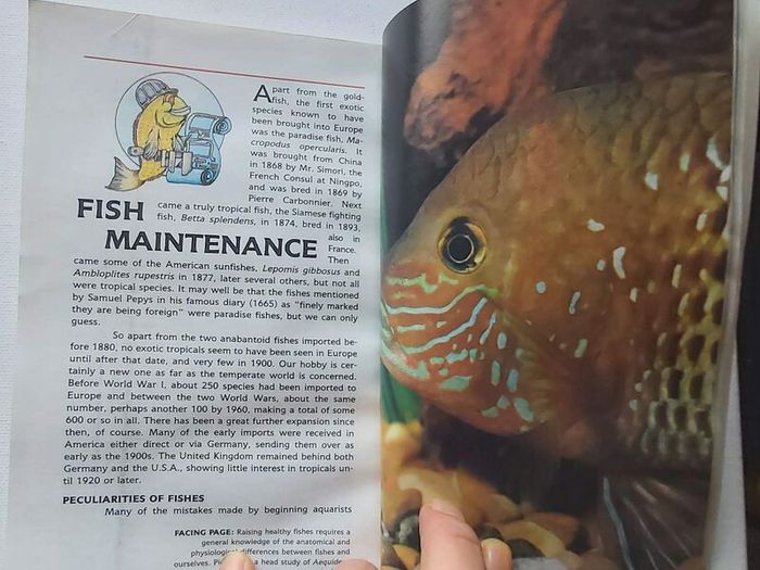 Tropical Fish and Aquarium Books