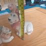 2 Vintage Nao Lion King figurines - very rare Image 4