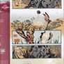 Pretty Deadly #3 (2013) Image Comic Image 2
