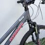 Ridgeback Destiny bike 24 inch Image 2