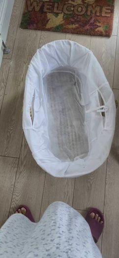 Moses basket