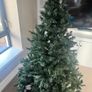 Christmas tree Image 3