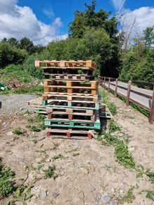 Free Pallets