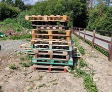 Free Pallets