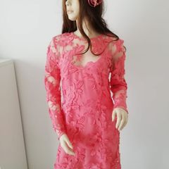 Embroidered lace salmon dress