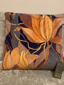 Cushion BRAND is Scatter Box. Feather filled. For sofa, bed or chair.
