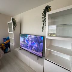 TV unit