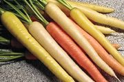 (C) Carrot Rainbow H seeds 0.2g (124459)