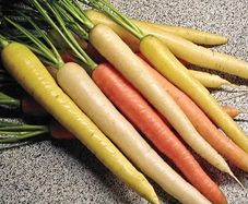 (C) Carrot Rainbow H seeds 0.2g (124459)