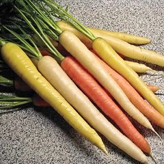 (C) Carrot Rainbow H seeds 0.2g (124459)
