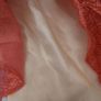 Princess Elena  Dress Image 3