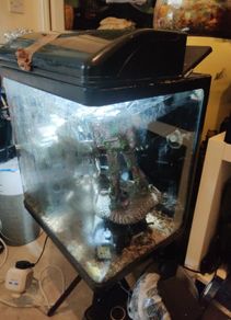Fish tank 40lt