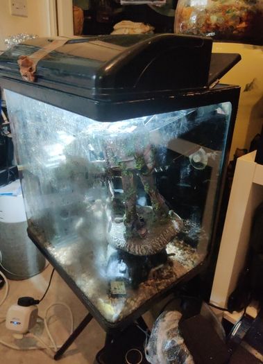 Fish tank 40lt