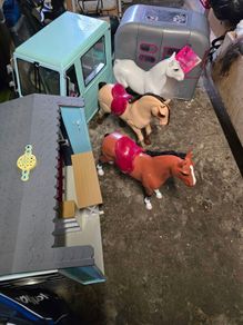 our generation bundle