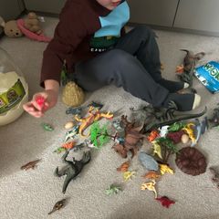 Dino tub full of dinos and props and a map