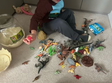 Dino tub full of dinos and props and a map