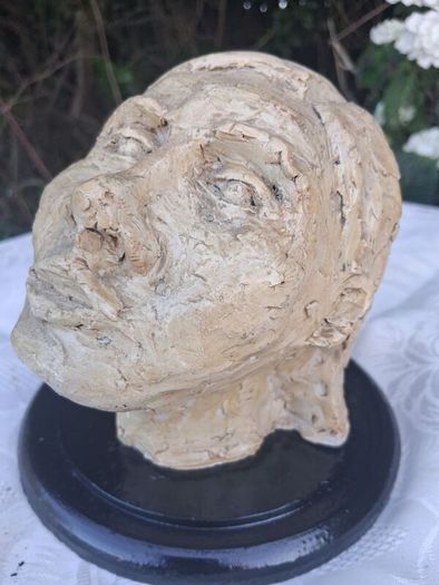 National College of Art Mid Century Paster Of Paris Mounted Bust