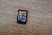 minecraft switch no case