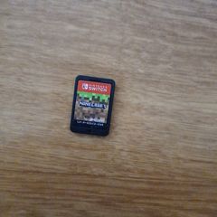 minecraft switch no case