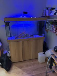 Juwel 350 with stand