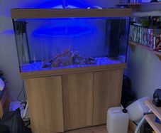 Juwel 350 with stand