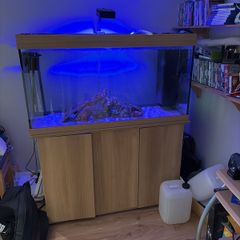 Juwel 350 with stand