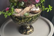 indoor plant