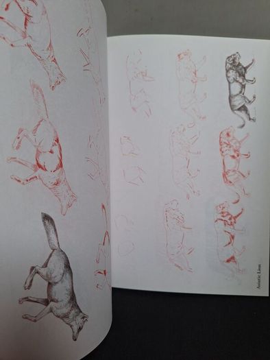 SALE! Set of 4 DRAW 50 drawing books: Dinosaurs, Flowers, Animals and Endangered Animals