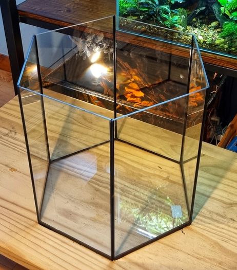 Hexagonal Aquarium 52l