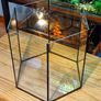 Hexagonal Aquarium 52l Image 2