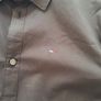 Shirt Tommy Image 3
