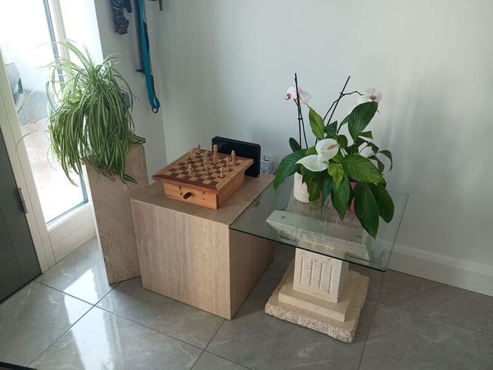 Small Mantle Coffee Table with 2 display units