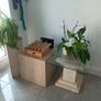 Small Mantle Coffee Table with 2 display units Image 2