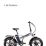 E bike Image 6