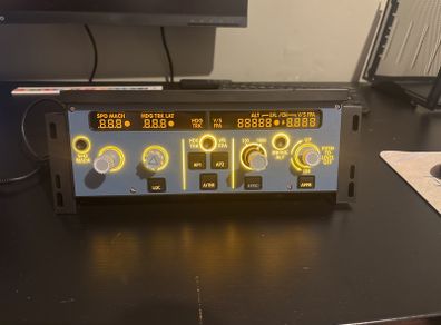 flight sim