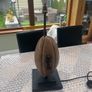 vintage rugby lamp Image 2