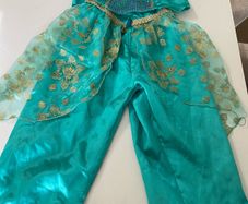 Disney princess Jasmine costume