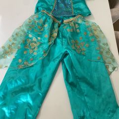 Disney princess Jasmine costume