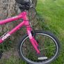 Frog 55 bike - 20 inch wheel Image 2