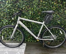 Carrera Bike 20"
